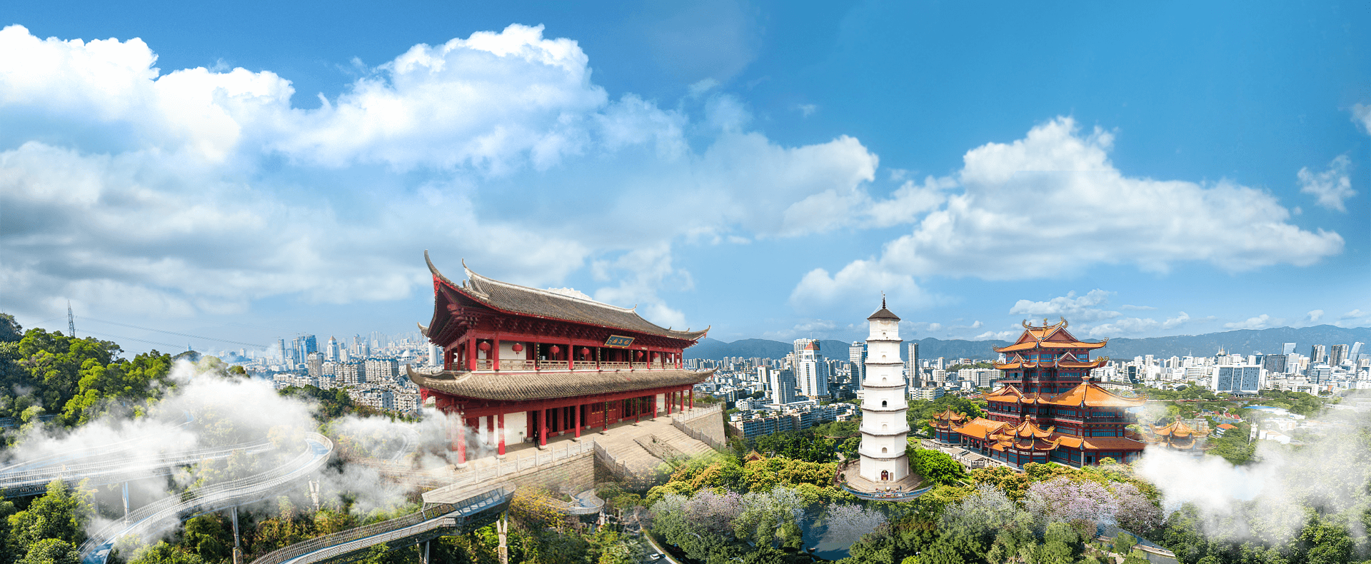协会活动与会员交流